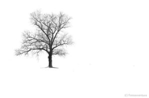 Immagine in bianco e nero di Gabriele Minguzzi